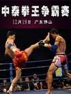 中泰武术对抗赛2009迅雷下载