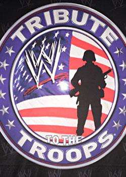 WWETributeToTheTroops2010