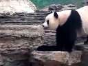 萌萌在干什么?迅雷下载