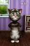 gogocat