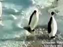 ��˸�Ц�Ķ����˲���