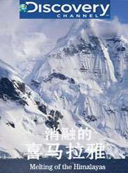 ̽��Ƶ�����ڵ�ϲ������