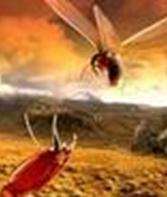 (������)��������