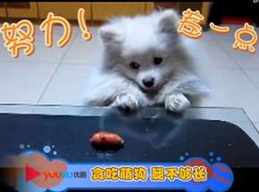 ȵʱ޶