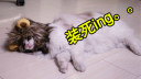 Ц!ϴñӵ77