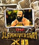 TNASlammiversary2014