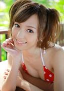 希志爱野种子