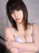 赤井美月种子