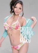 织田真子种子