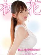 元山晴香种子