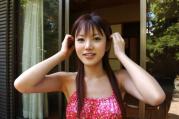 小泉彩种子