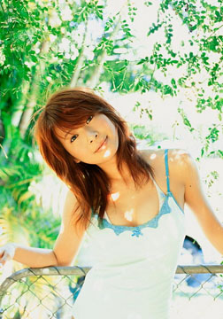 川岛茉树代种子
