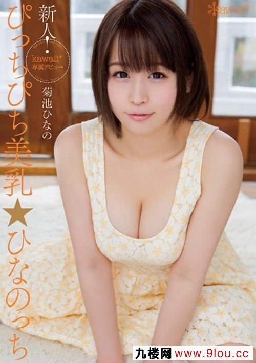 菊池ひなの种子