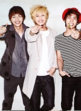 shinee种子