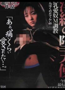 铃木亚沙美种子