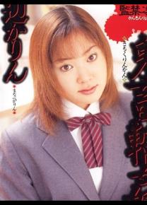 真道花梨种子