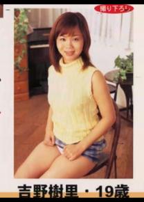 吉野树里种子