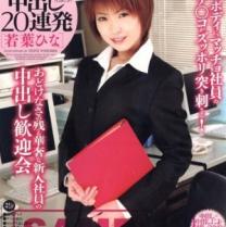 若叶雏种子