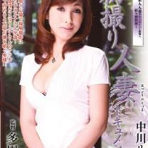 中川露娜种子