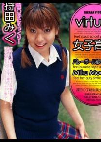 持田美久种子