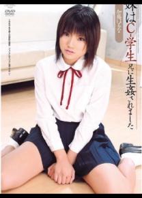 加藤春菜种子