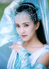 商蓉种子