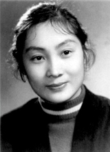 柏瑞桐种子