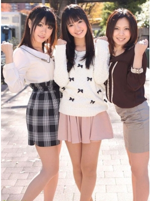 凤生つばき种子