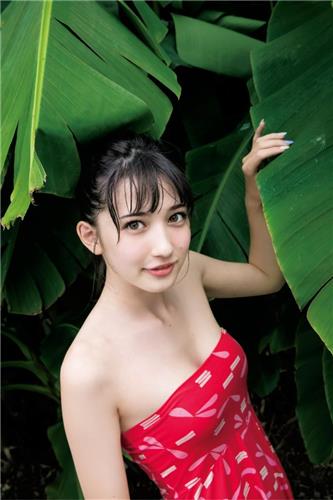 中村友茉种子