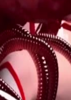 3DԴּ