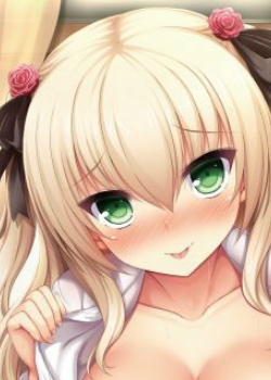 リアルエロゲシチュエーション! THE ANIMATION