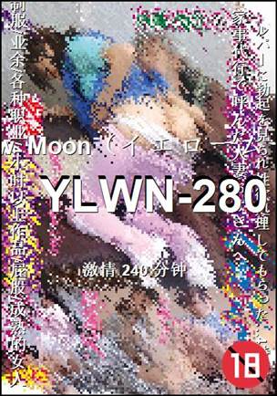 YLWN-280����