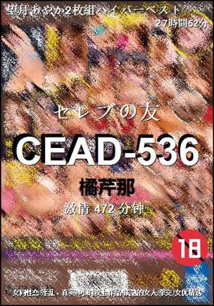 CEAD-536����