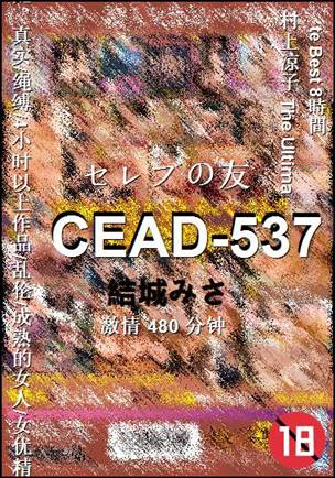 CEAD-537����