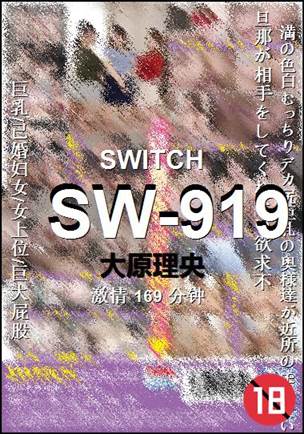 SW-919����