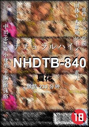 NHDTB-840