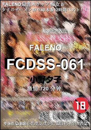 FCDSS-061����