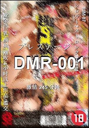 DMR-001����