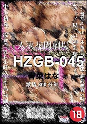 HZGB-045����