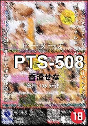 PTS-508����