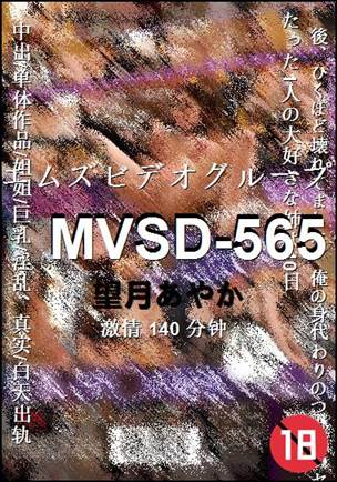 MVSD-565