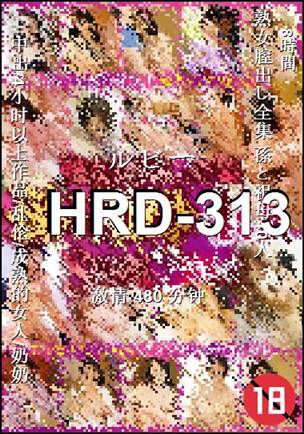 HRD-313����