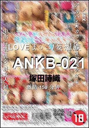 ANKB-021����