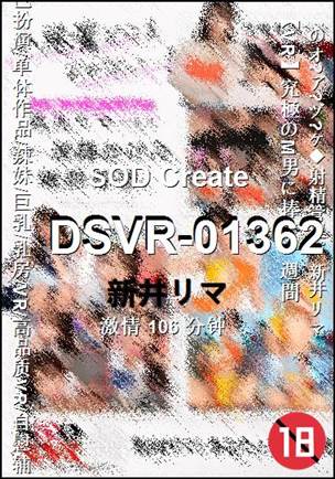 DSVR-01362����