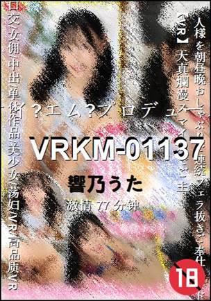 VRKM-01137