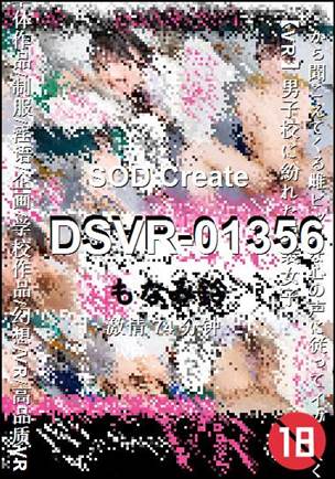DSVR-01356����