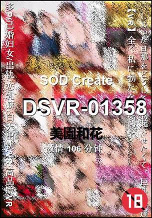 DSVR-01358����