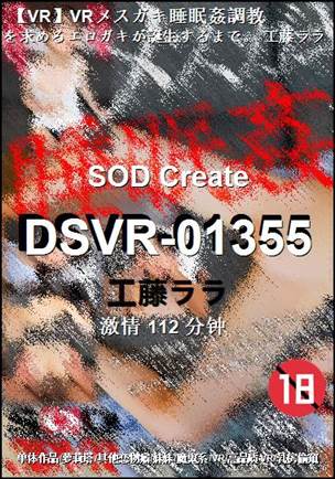 DSVR-01355
