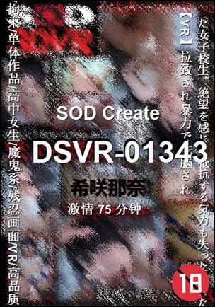 DSVR-01343种子