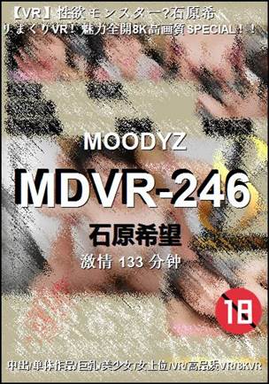 MDVR-246����